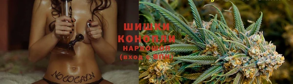 гидра Алексеевка