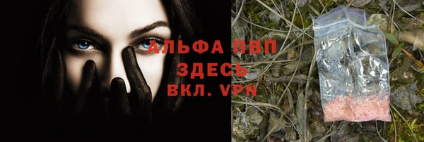 a pvp Алзамай