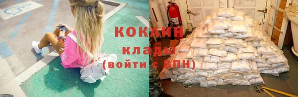тгк Алексин