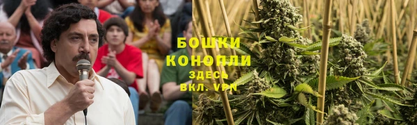 гидра Алексеевка