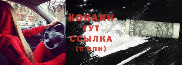 ешки Саяногорск
