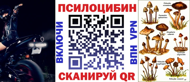 Галлюциногенные грибы прущие грибы  Новая Ладога 