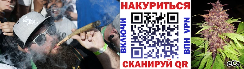 Шишки марихуана сатива  OMG ONION  Новая Ладога 
